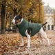 Курточка для собаки WAUDOG Re-clothes двухсторонняя, М47, изумрудно-черная (191428) - изображение 9