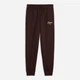 Подростковые спортивые штаны для девочки Puma Essentials Script Glitter 69465733 146-152 см Коричневые (4070033349625) - изображение 1