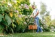 Газонокосарка Bosch EasyGrassCut 26, потужність 280 Вт, ширина скошування 26 см, вага 1.9 кг. - зображення 3