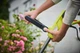 Триммер садовый Ryobi RLT5127PK3 электрический 500 Вт 27 см 2,8 кг салатовый - изображение 9
