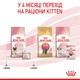 Консервований корм Royal Canin Babycat wet in mousse 195 г (4098002) x12 шт. - зображення 8