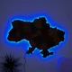 Настенная объемная 3D-карта Украины на английском языке с синей подсветкой (220 В) в коробке размером 143 × 100 см Гранд Презент - изображение 2