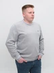 Джемпер чоловічий світло-сірий 5413-17 3XL - зображення 6
