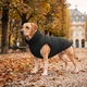 Курточка для собак WAUDOG Re-clothes двусторонняя, L55, A 52-55, B 77-79, C 50-55, черный - изображение 2