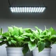 Фитолампа Yescom 225 LED 22 Вт для растений, ультратонкая панель для рассады, цветов, овощей и гидропоники - изображение 8