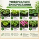 Касета для розсади 50 комірок (XTB50) Agreen 011708 - зображення 5