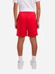 Підліткові шорти на резинці Nike 292568106 (XL) 158-170 см Червоні (1159858986) - зображення 2