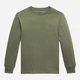 Подростковый лонгслив Ralph Lauren 828009861 152 см Зеленый (1159859915) - изображение 4