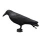 Відлякувач птахів муляж Ворона реалістична пластикова Bird Repellent Plastic Crow 38см - зображення 2