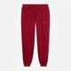 Спортивные штаны на флисе женские Puma ESS Script Sweatpants FL 69406723 L Красные (4070033363034) - изображение 4