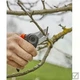 Секатор Gardena ExpertCut 22 мм обводной для обрезки веток и побегов - изображение 2