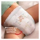 Підгузки Pampers Active Baby Pants Розмір 8 (17+ кг) 112 шт (8006530315661) - изображение 6