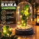 Стеклянная колба "Кактус" Blachere - изображение 1