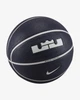 Універсальний Баскетбольний М'яч Nike Playground 2.0 8P LeBron James(N.100.4372.506.07) 7 - зображення 3
