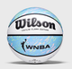 Басктебольний М'яч Wilson CC X WNBA Oasis(WZ2026401XB6) 6 - изображение 1