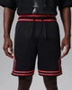 Баскетбольні Шорти Jordan Sport Men's Dri-FIT Mesh Diamond Shorts(HF9910-014) L Чорний - изображение 1