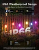 Уличная гирлянда Govee S14 Bulb 15 м RGBICWW, 15 LED ламп, IP66, 100+ сцен, Wi-Fi, Matter, Alexa, Google Home - изображение 7