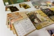 Настільна гра Portal Games Острів духів: Кущі та кігті (5905794220373) - зображення 17