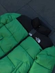 Зимняя куртка пуховик The North Face 700 Green зеленый L 4471 - изображение 6