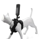 Крепление на кота LUX для экшн-камеры GoPro DJI Insta360 SJCAM EKEN и других, держатель на ремнях (10572) - изображение 2