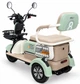 Электроскутер трехколесный ATLAS Elegant Trike 600W Green - изображение 2