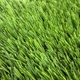 Штучна трава для вулиці CCGrass Cam 45 2м. - зображення 3