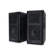 Акустична система REAL-EL S-250 Black (EL121000005) - зображення 1