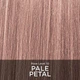 Безаммиачный кремовый тонер для волос CHI Tone&Gloss Pale Petal 85 г (633911862971) - изображение 2