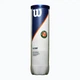 Тенісний М'яч Wilson Roland Garros All Court 4-ball(WRT116400) 3 - изображение 2