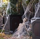 Павутина для Хелловіна на вечірку для декорування 1 шт Halloween - зображення 4