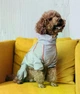 Дождевик-комбинезон для такс DogsBomba Серый с кантом размер 1 непромокаемая одежда для собак водоотталкивающий демисезонный осенний весенний защита от дождя ветра грязи на змейке плащевка с регуляторами унисекс МТ-30/1 - изображение 2