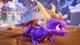 Crash Team Racing Nitro-Fueled+Spyro Reignited Trilogy (англійська версія) PS4 - изображение 3