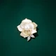 Брошка Qlady Camellia, розкішний жіночий корсаж з легкою прісноводною перлиною високого класу, шовкова хустка з пряжкою, аксесуар для одягу, подарунок на день народження - зображення 12