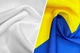 Флаг Украины с большим государственным гербом PromoZP 135x90 см флажная сетка односторонний - изображение 3