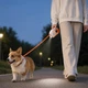 Поводок-рулетка для собак DT868 со встроенным LED фонариком и подсветкой 5 метров (Orange) - изображение 3