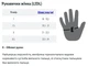Женские краги термо варежки Crivit размер 8 (GL0001U096) - изображение 3