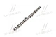 Розподільчий вал AE CAM952 Opel Vectra, Zafira, Astra 09194102, 636032 - зображення 4