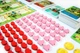 Gra planszowa Portal Games Osadnicy: Narodziny Imperium (5902560380705) - obraz 13