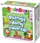 Gra planszowa Rebel BrainBox - Poznaje domy zwierząt (5902650616691) - obraz 1