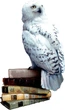 Gra planszowa Rebel Harry Potter i Czytacz Myśli (5902650618800) - obraz 5
