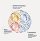 Шампунь для корекції тону волосся TONEBOND Triology - изображение 2