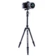Штатив Vanguard Vesta TB 204CB (Vesta TB 204CB) 4423094 - изображение 5
