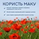 Мак харчовий кондитерський YESNUT! 600 г - зображення 7
