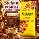 Кава в зернах Stefano Ромова Романтична 910 г зернова середнього обсмаження купаж арабіки робусти з ароматом кубинського рому карамелі ванілі сухофруктів вершковим післясмаком - зображення 1