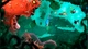 Игра Sony PlayStation 3 Rayman Origins Collector's Edition Английская Версия - изображение 2