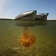 Кораблик Deeper SPARK для підгодовування з дистанційним керуванням (FNG0079) - зображення 5