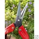 Секатор ножницы Kamaki 710S для винограда цветов и побегов - изображение 4