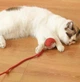 Умный мячик CatToy для кошек интерактивная игрушка 3 режима - изображение 5