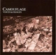 CAMOUFLAGE – Voice & Images (CD) - Б/У - изображение 1
