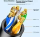 Патч-корд SAMZHE HCT100 Cat 6 мідь 1 Гбіт/с 10 м Чорний - зображення 6